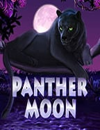 pg game 268sa เกม บา คา ร่า ที่ไม่ควรพลาด